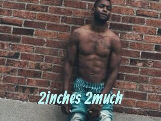 2inches_2much
