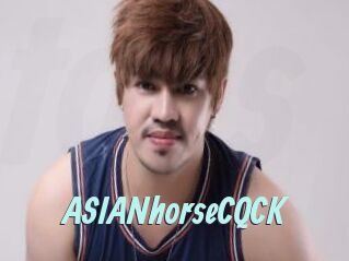 ASIANhorseCQCK