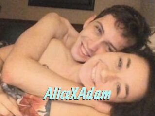 Alice_X_Adam