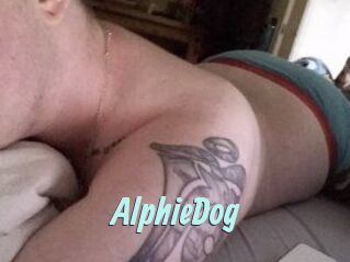 Alphie_Dog