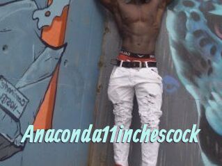 Anaconda11inchescock