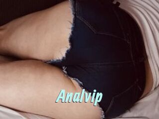 Analvip