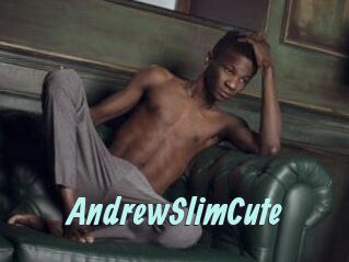 AndrewSlimCute