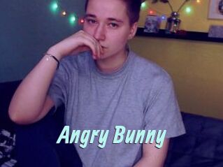 Angry_Bunny