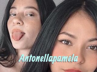 Antonellapamela