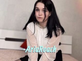 AriaRoach