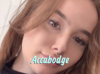 Accabodge