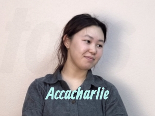 Accacharlie