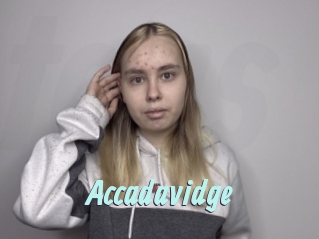 Accadavidge