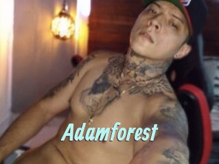 Adamforest