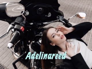 Adelinareed