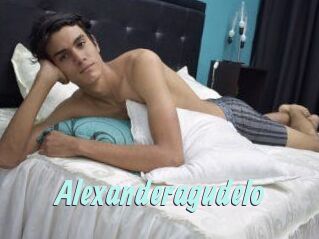 Alexanderagudelo