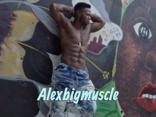 Alexbigmuscle