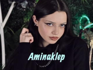 Aminaklep