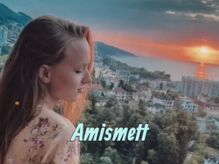 Amismett