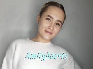 Amitybarris