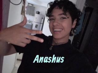 Anashus