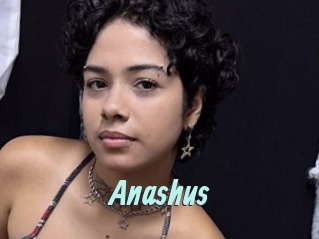 Anashus