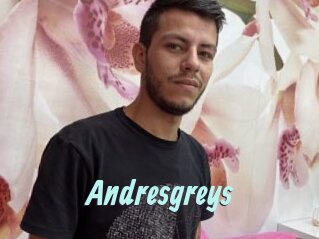 Andresgreys