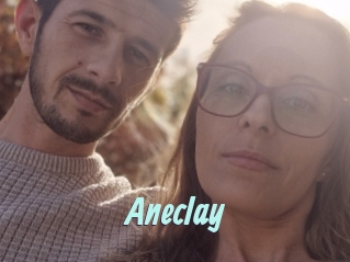 Aneclay