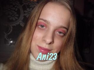 Ani23