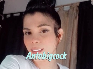 Antobigcock