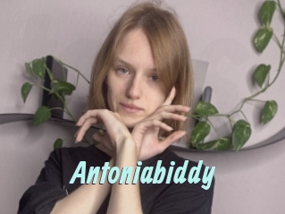 Antoniabiddy