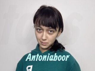 Antoniaboor