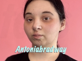 Antoniabradway