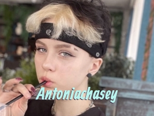 Antoniachasey