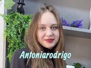 Antoniarodrigo