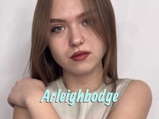 Arleighbodge