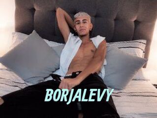 BORJALEVY