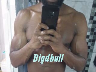 Bigdbull