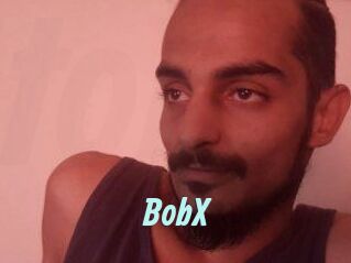 BobX