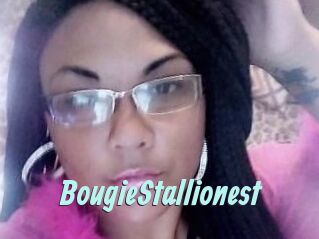 BougieStallionest