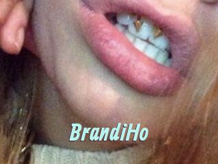 BrandiHo