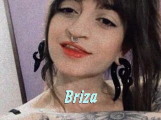 Briza