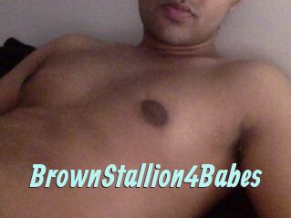 BrownStallion4Babes