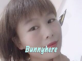 Bunnyhere