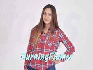 BurningFlamee