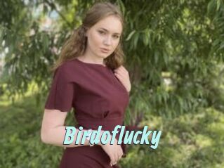 Birdoflucky