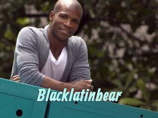 Blacklatinbear