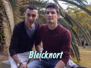 Bleicknort