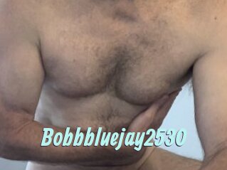 Bobbbluejay2530