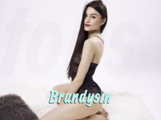 Brandysin