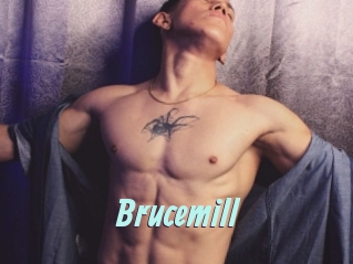 Brucemill