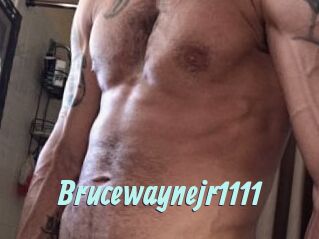 Brucewaynejr1111