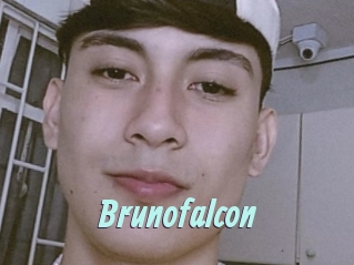 Brunofalcon