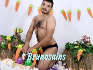 Brunosains